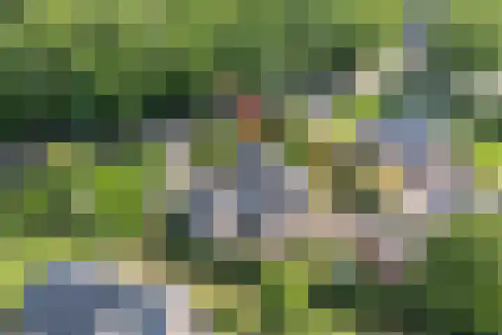 Meppelerweg 30 Ruinen thumbnail 62