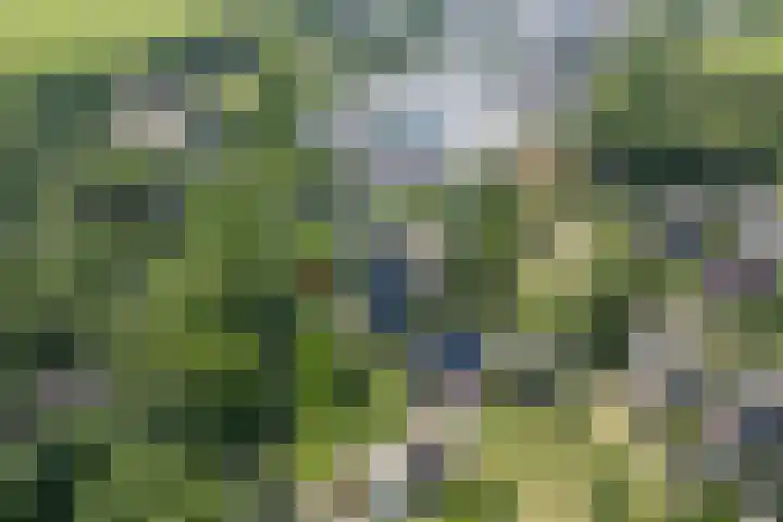 Meppelerweg 30 Ruinen thumbnail 63