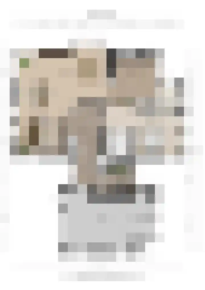 Meppelerweg 30 Ruinen thumbnail 64