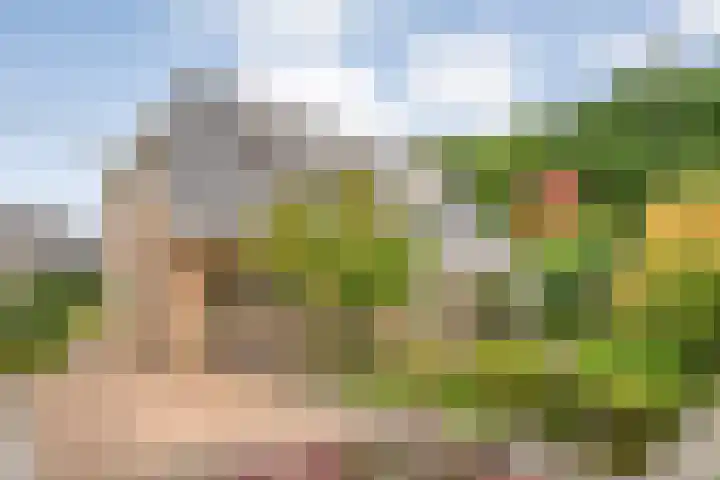 Meppelerweg 30 Ruinen thumbnail 7