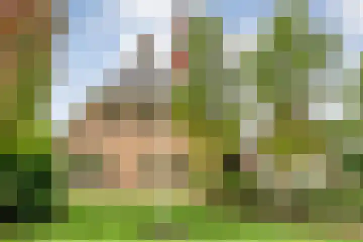 Meppelerweg 30 Ruinen thumbnail 8