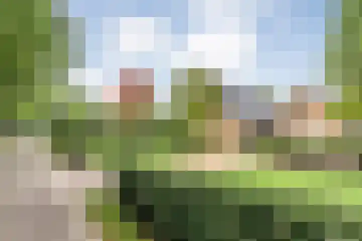 Meppelerweg 30 Ruinen thumbnail 9