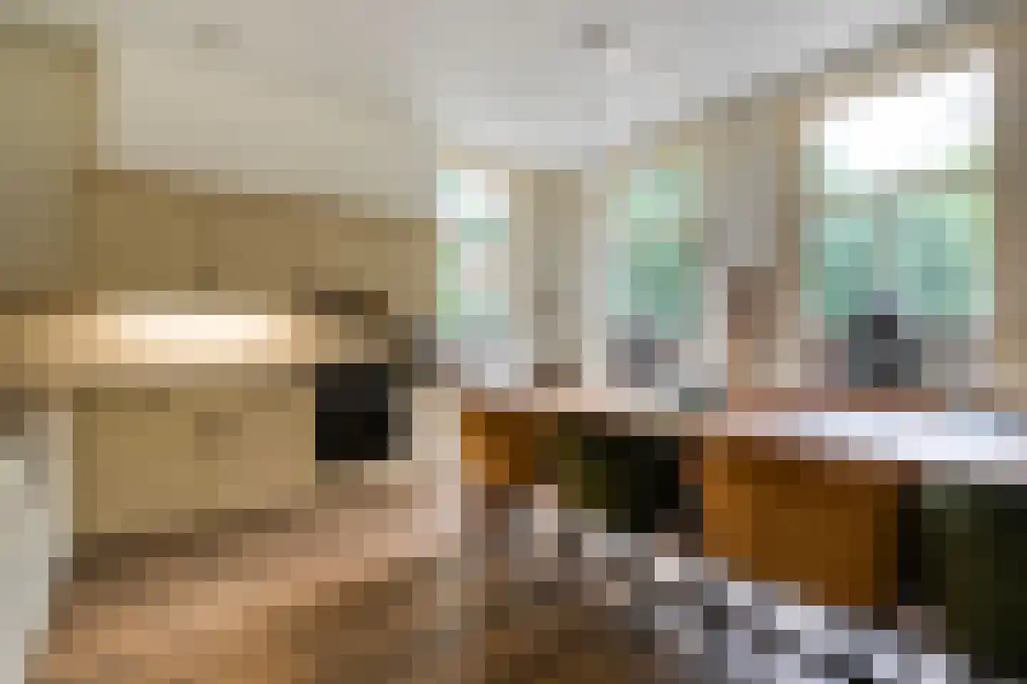 Meppelerweg 4 Nijeveen thumbnail 10