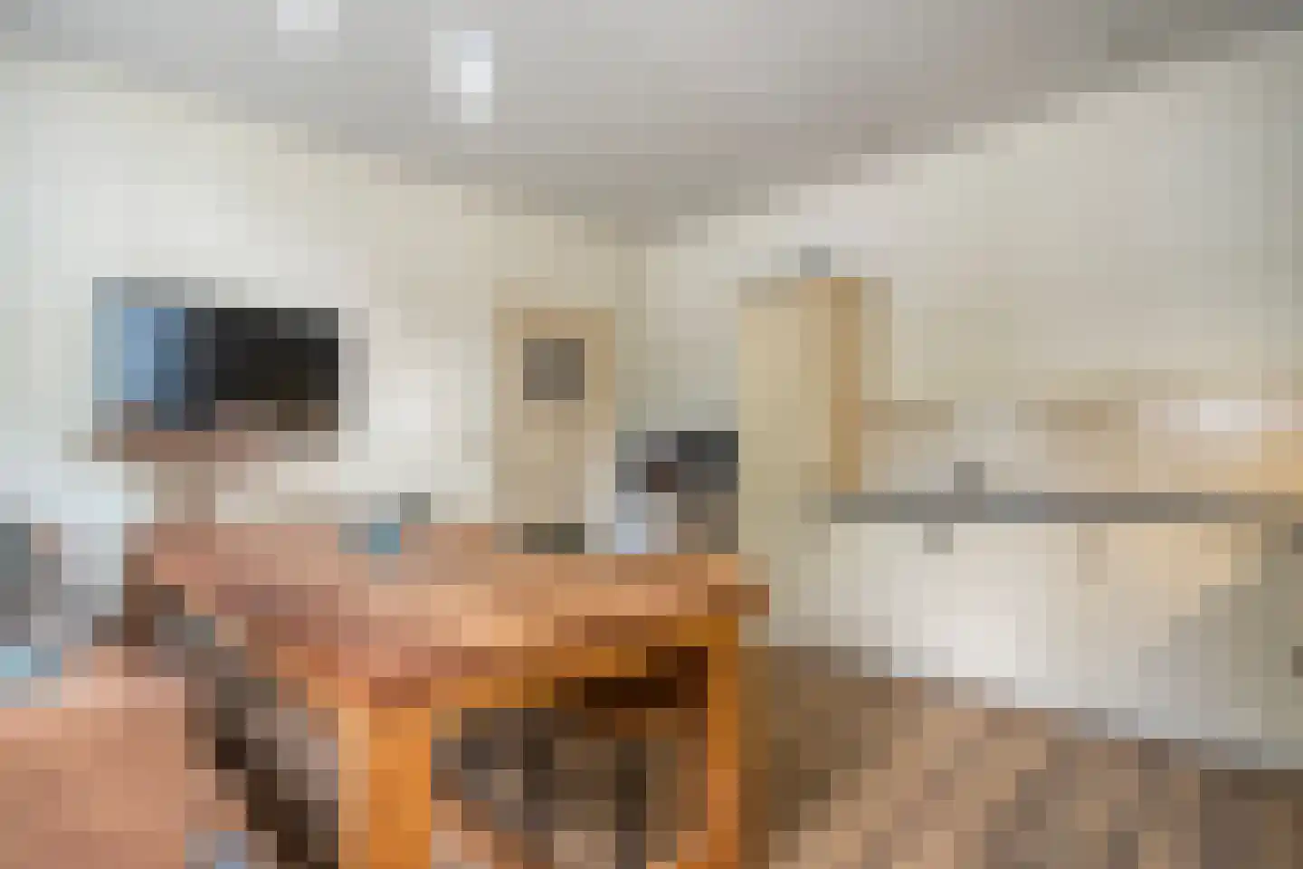 Meppelerweg 4 Nijeveen thumbnail 11
