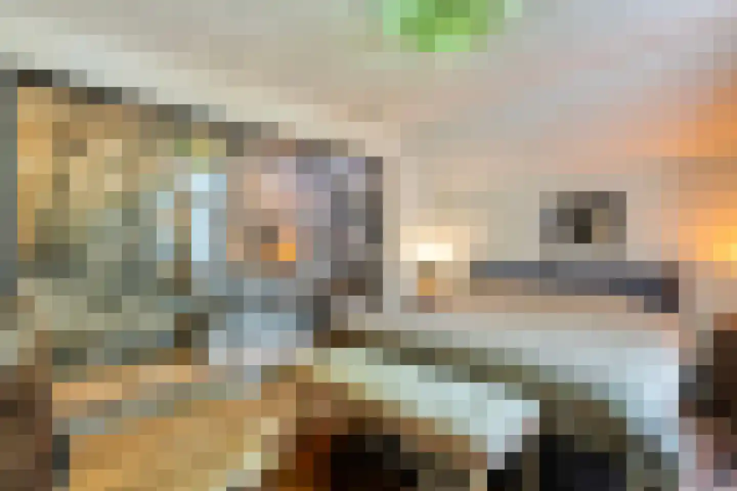 Meppelerweg 4 Nijeveen thumbnail 15