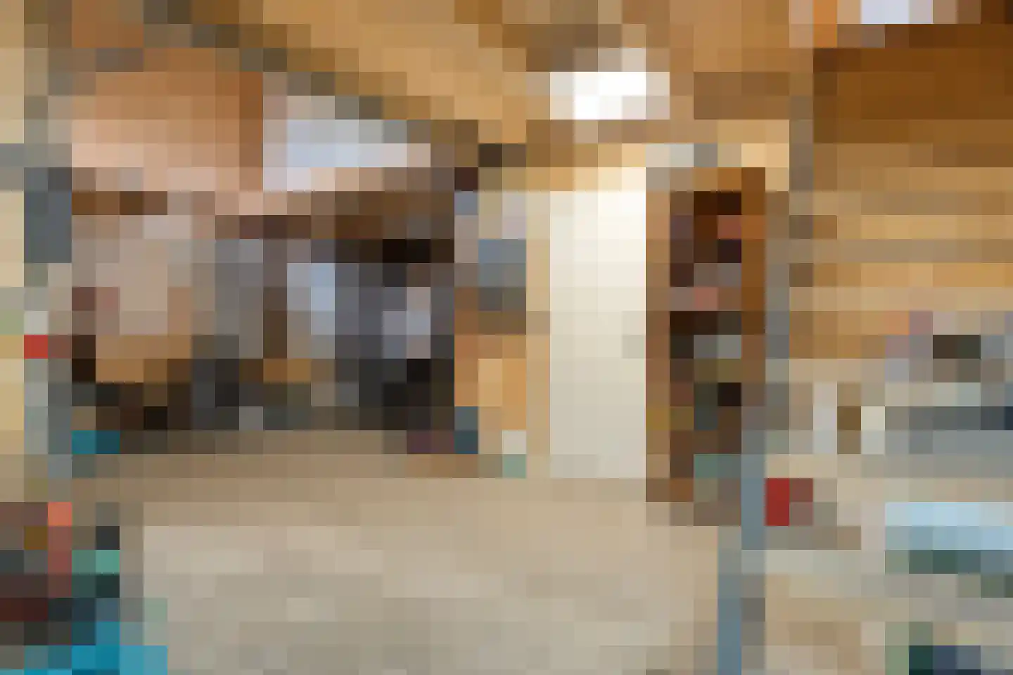 Meppelerweg 4 Nijeveen thumbnail 20
