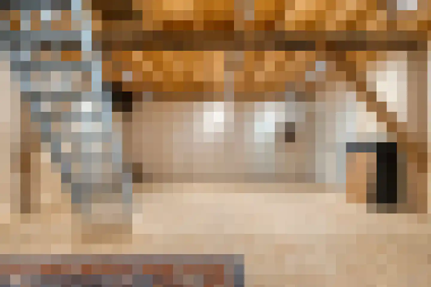 Meppelerweg 4 Nijeveen thumbnail 22