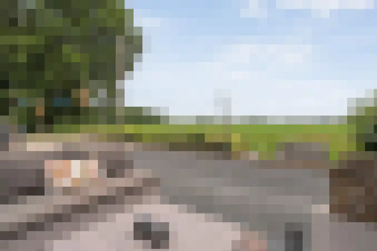 Meppelerweg 4 Nijeveen thumbnail 25