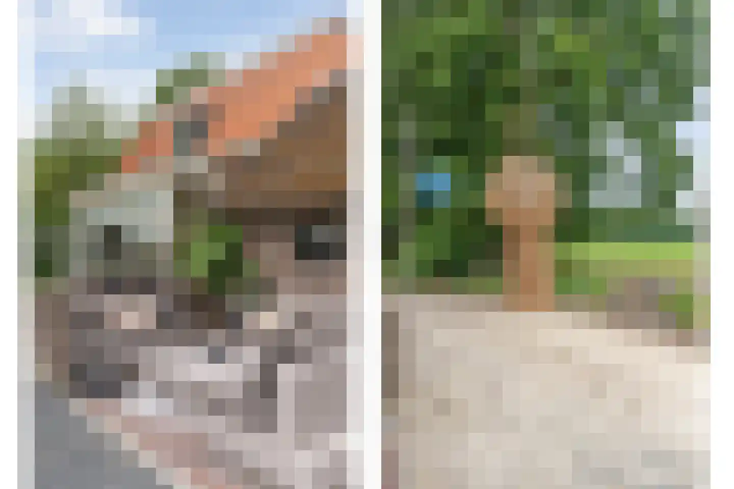 Meppelerweg 4 Nijeveen thumbnail 26