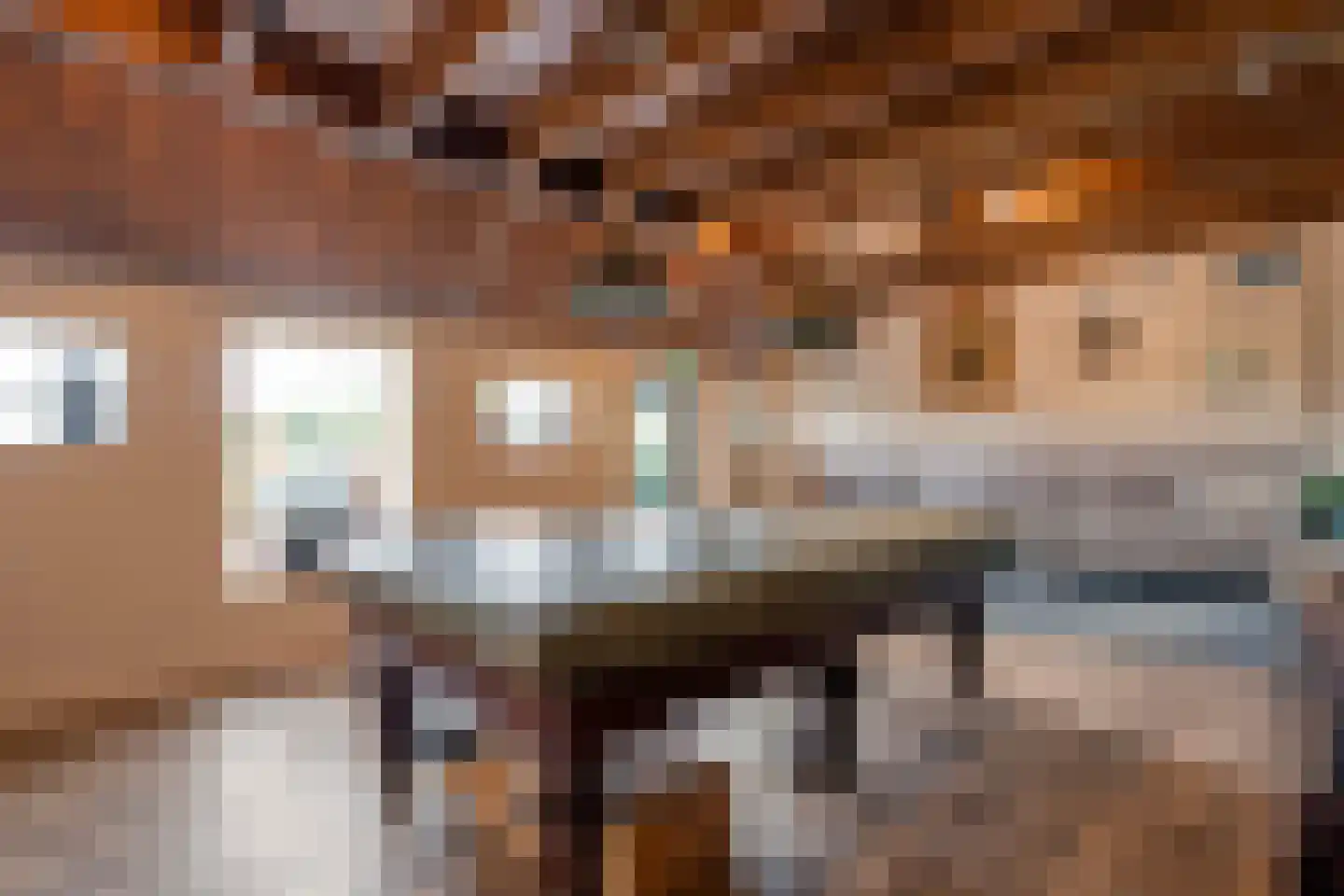 Meppelerweg 4 Nijeveen thumbnail 29