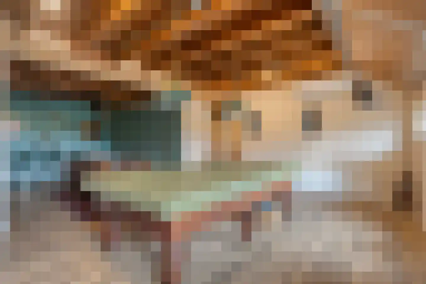 Meppelerweg 4 Nijeveen thumbnail 30