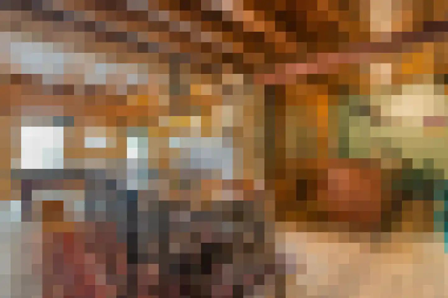 Meppelerweg 4 Nijeveen thumbnail 31