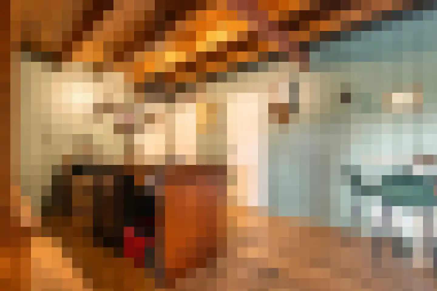 Meppelerweg 4 Nijeveen thumbnail 32