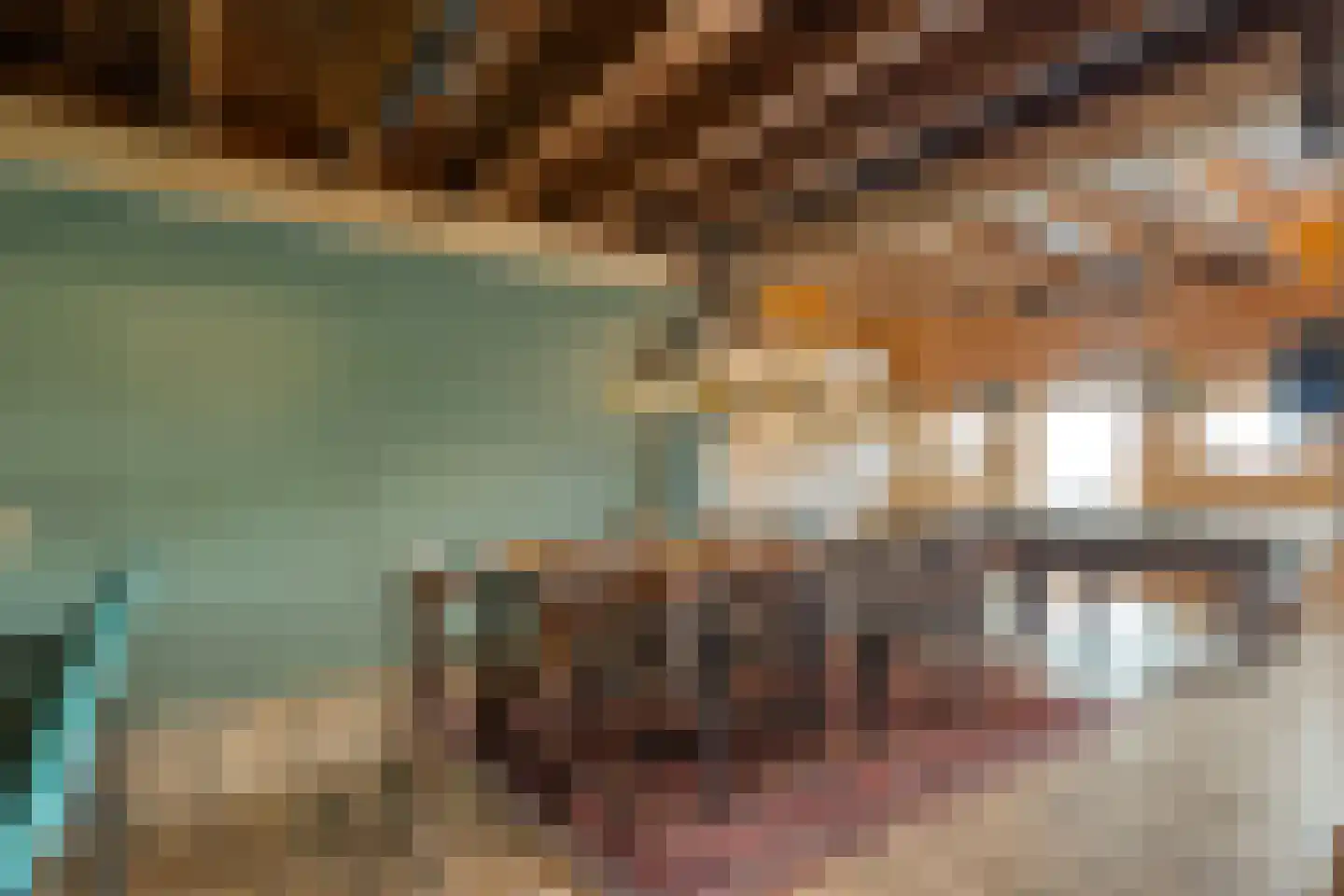 Meppelerweg 4 Nijeveen thumbnail 33
