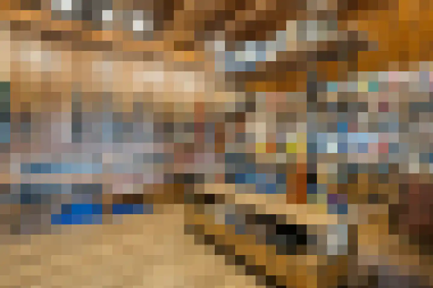 Meppelerweg 4 Nijeveen thumbnail 34