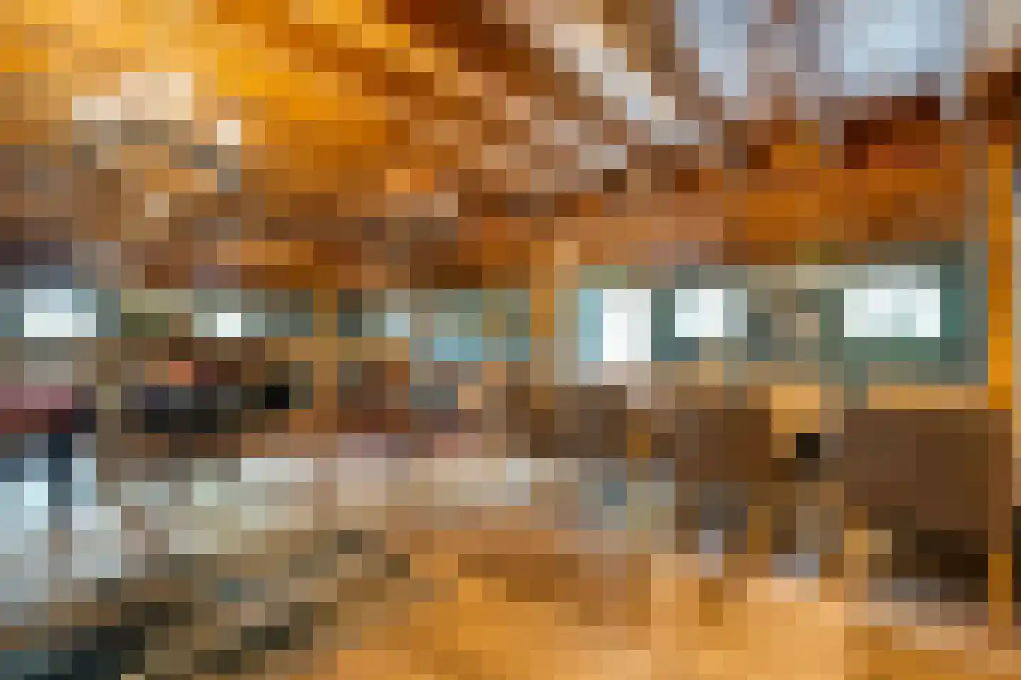 Meppelerweg 4 Nijeveen thumbnail 35