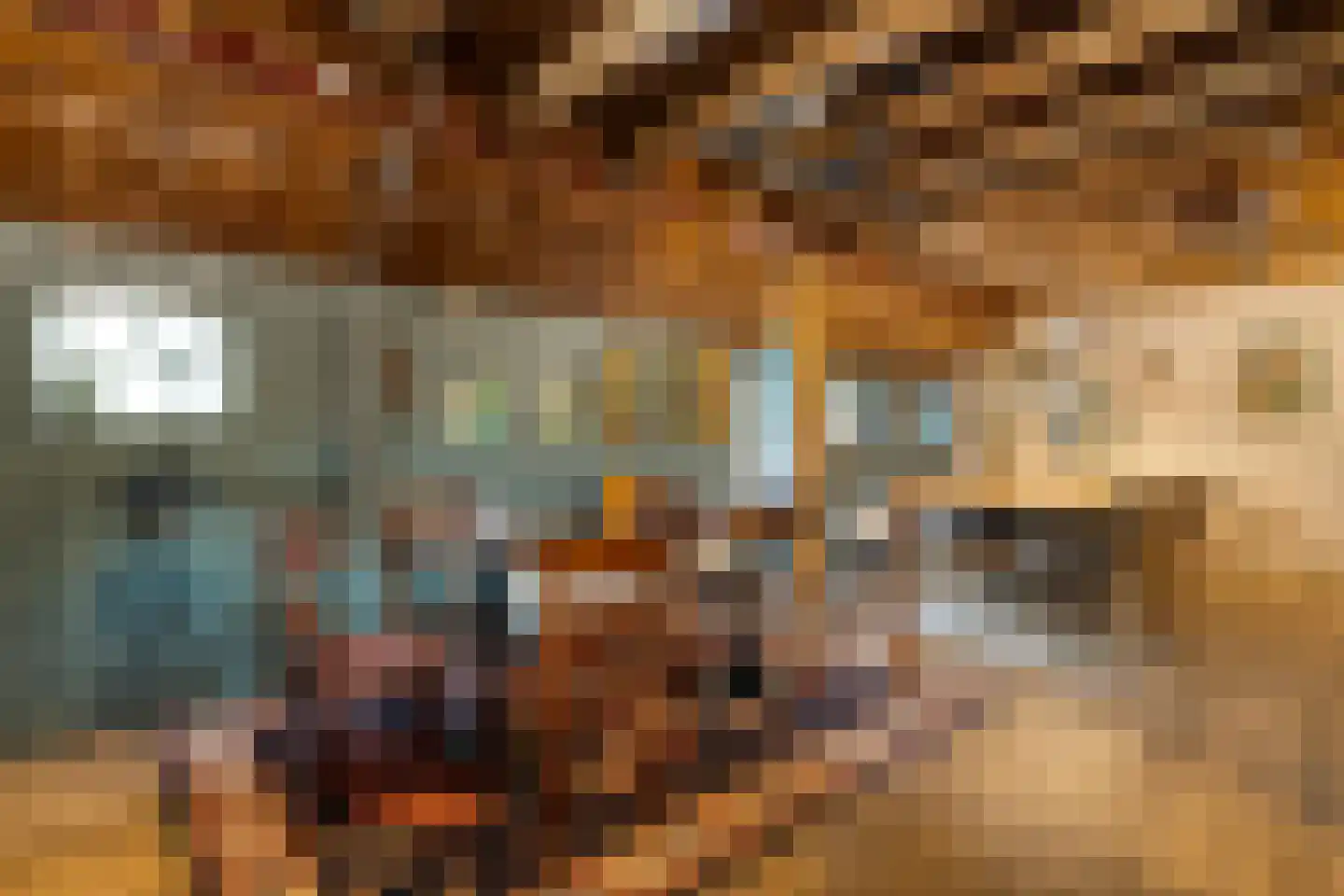 Meppelerweg 4 Nijeveen thumbnail 37