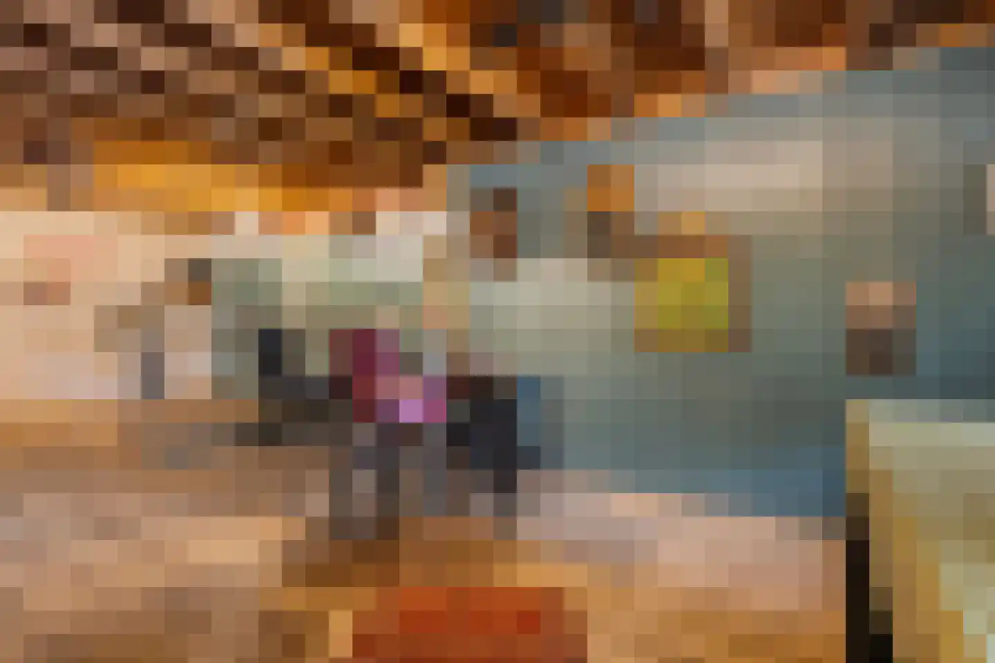 Meppelerweg 4 Nijeveen thumbnail 38