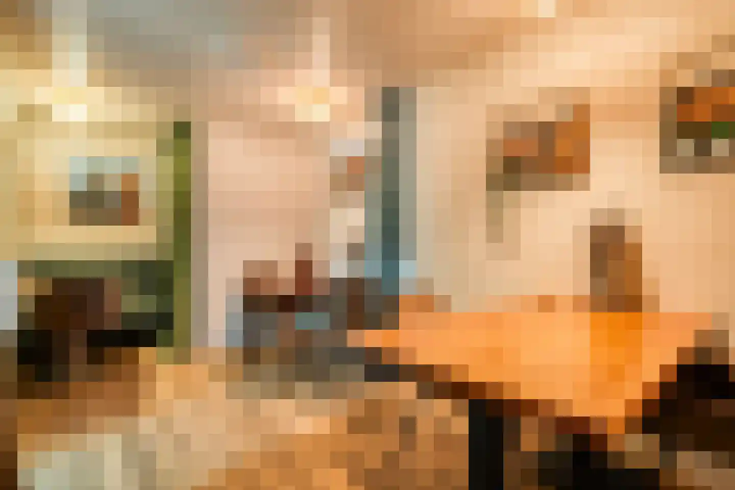 Meppelerweg 4 Nijeveen thumbnail 41
