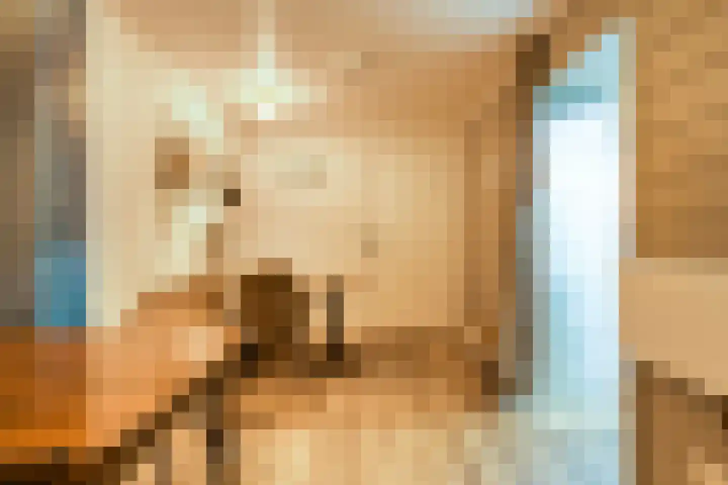 Meppelerweg 4 Nijeveen thumbnail 42
