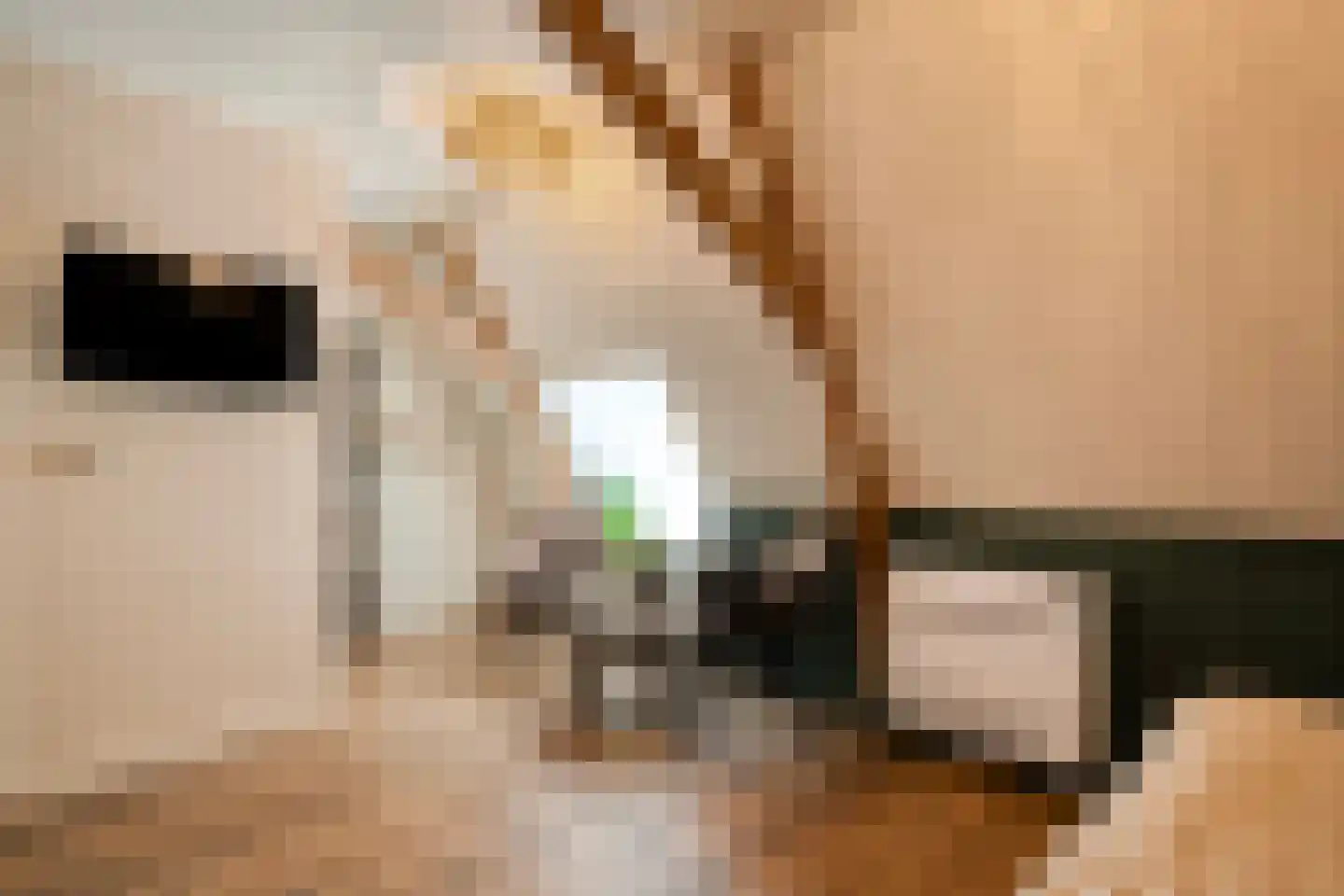 Meppelerweg 4 Nijeveen thumbnail 51