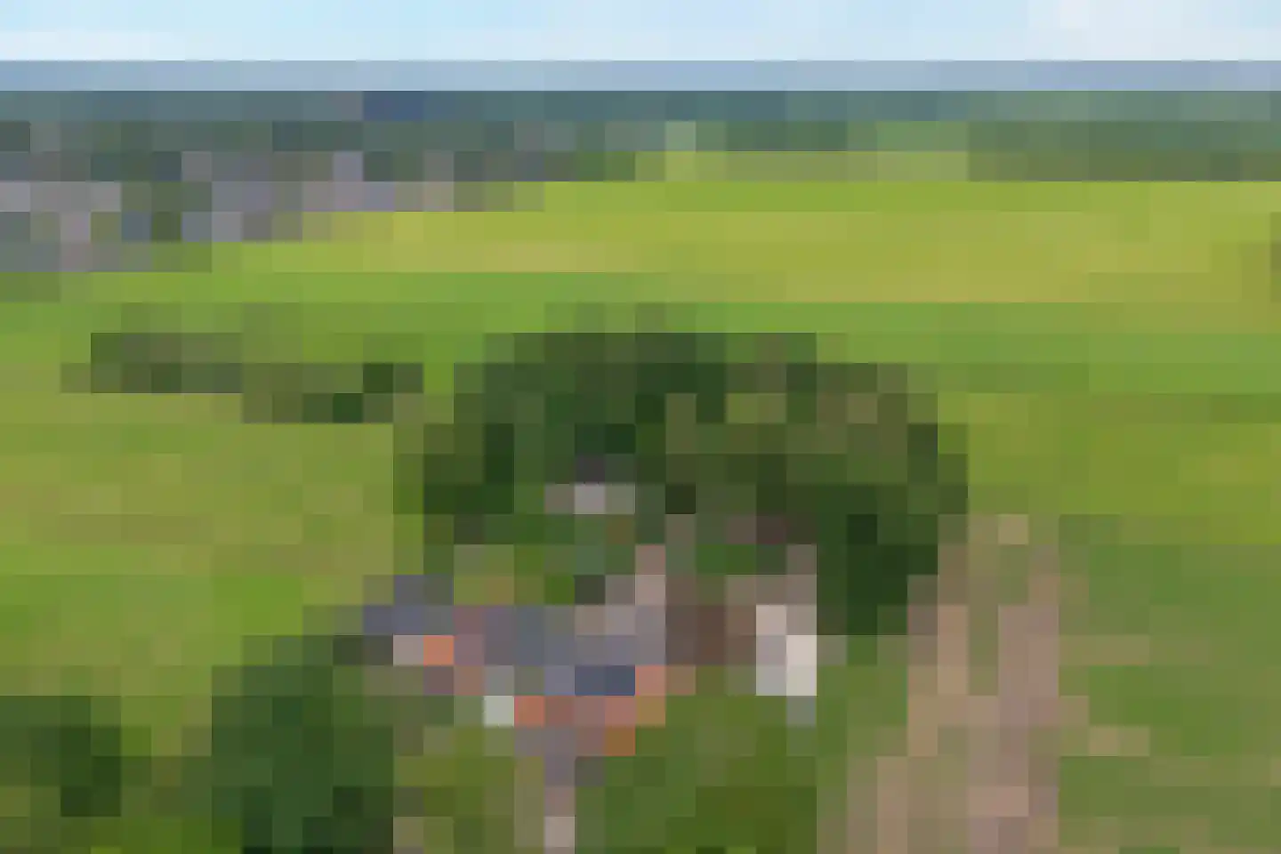 Meppelerweg 4 Nijeveen thumbnail 56