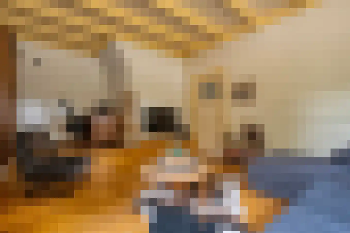 Meppelerweg 4 Nijeveen thumbnail 6