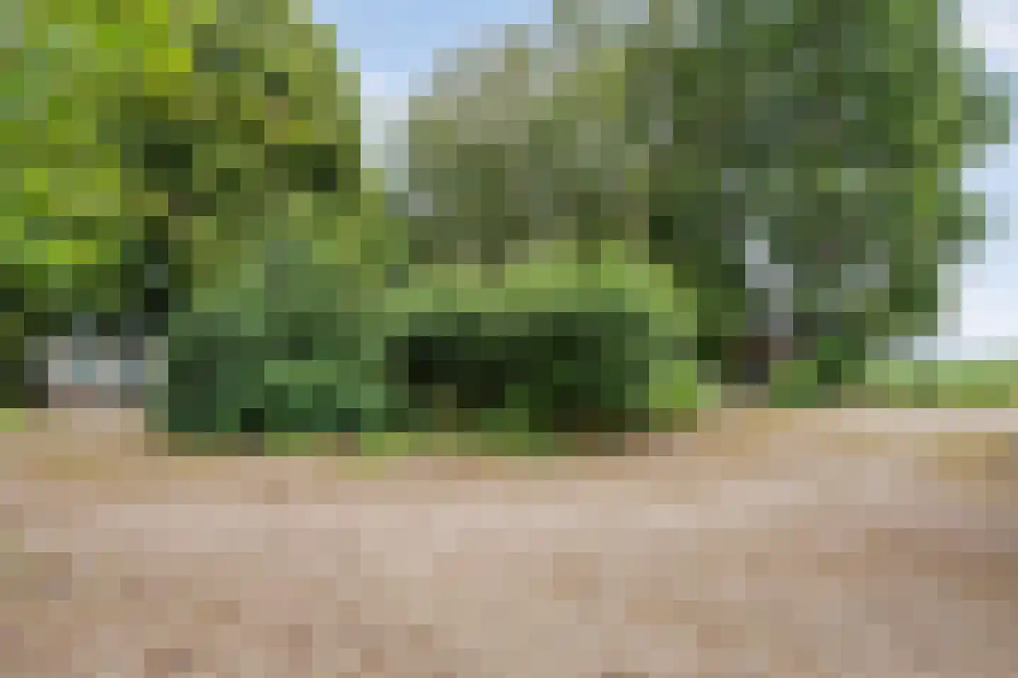 Meppelerweg 4 Nijeveen thumbnail 61