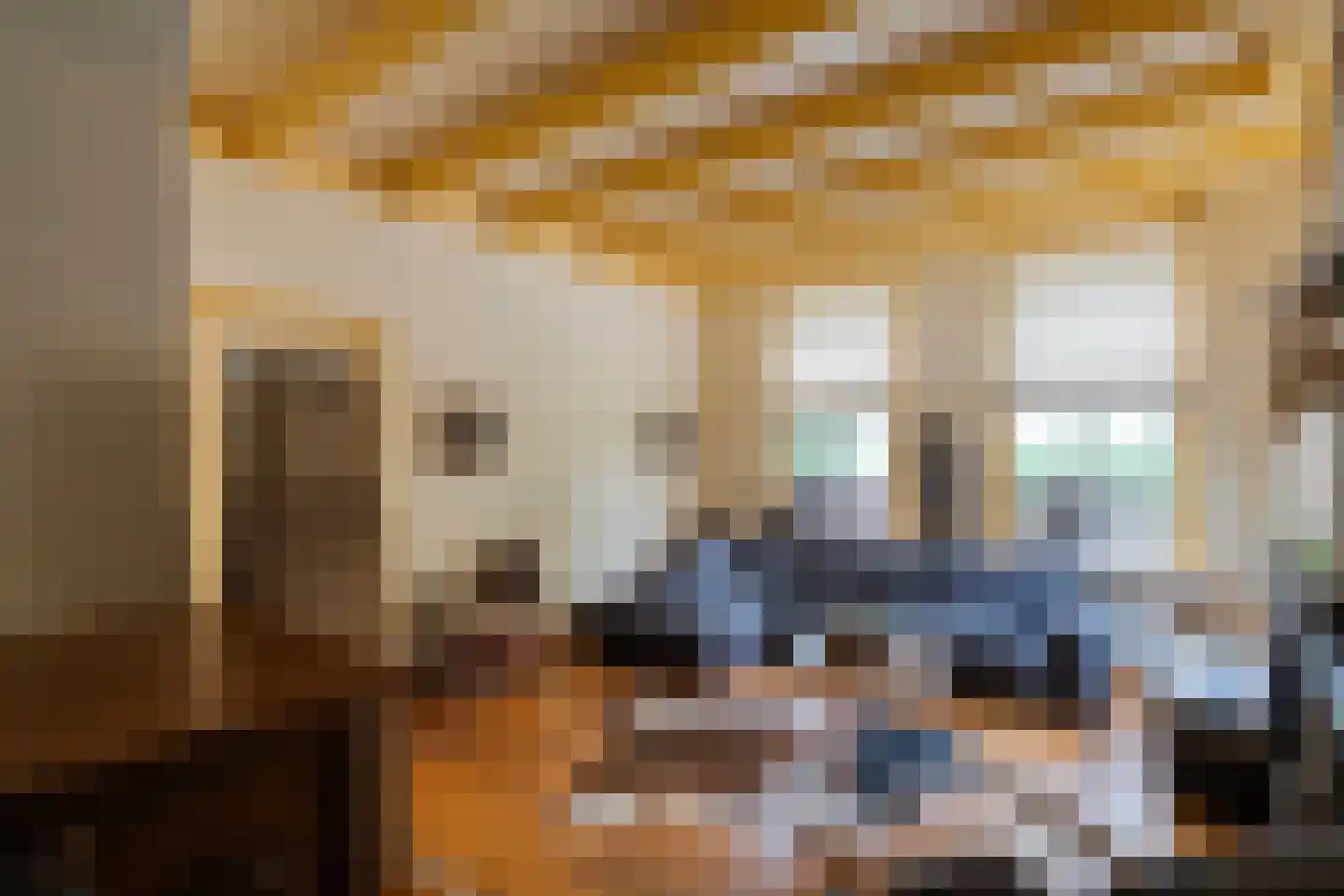 Meppelerweg 4 Nijeveen thumbnail 8