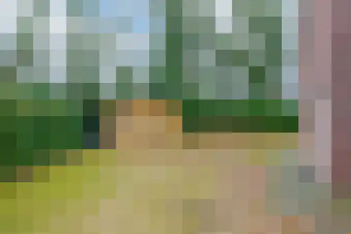 Meppelerweg 47 30 Zuidwolde thumbnail 17