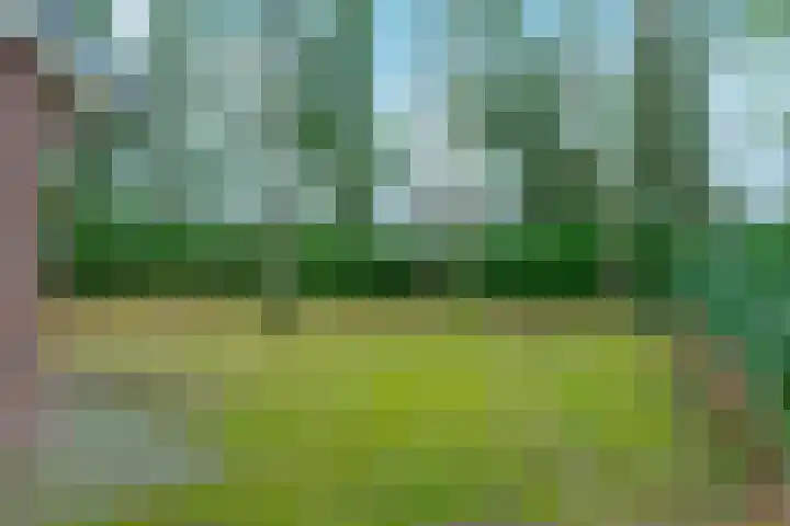 Meppelerweg 47 30 Zuidwolde thumbnail 19