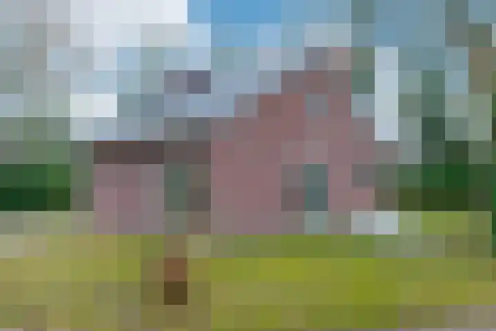 Meppelerweg 47 30 Zuidwolde foto 2