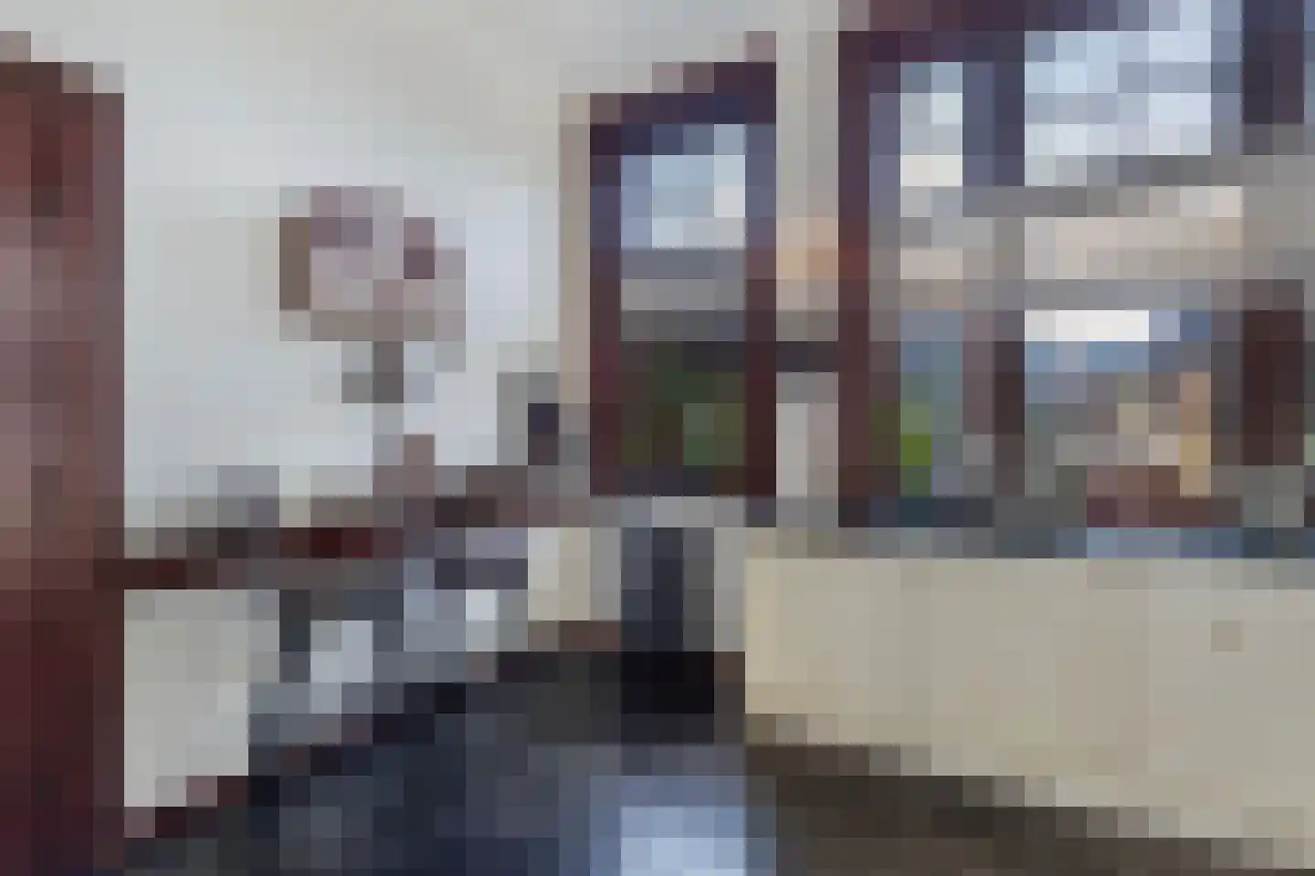 Meppelerweg 56 Steenwijk thumbnail 19