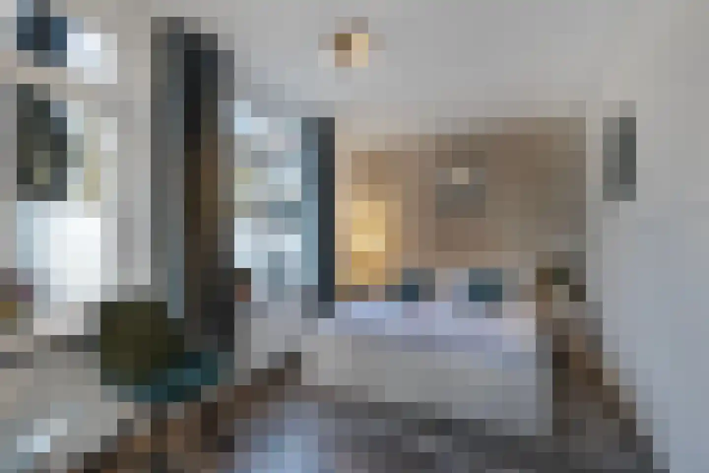Meppelerweg 56 Steenwijk thumbnail 32