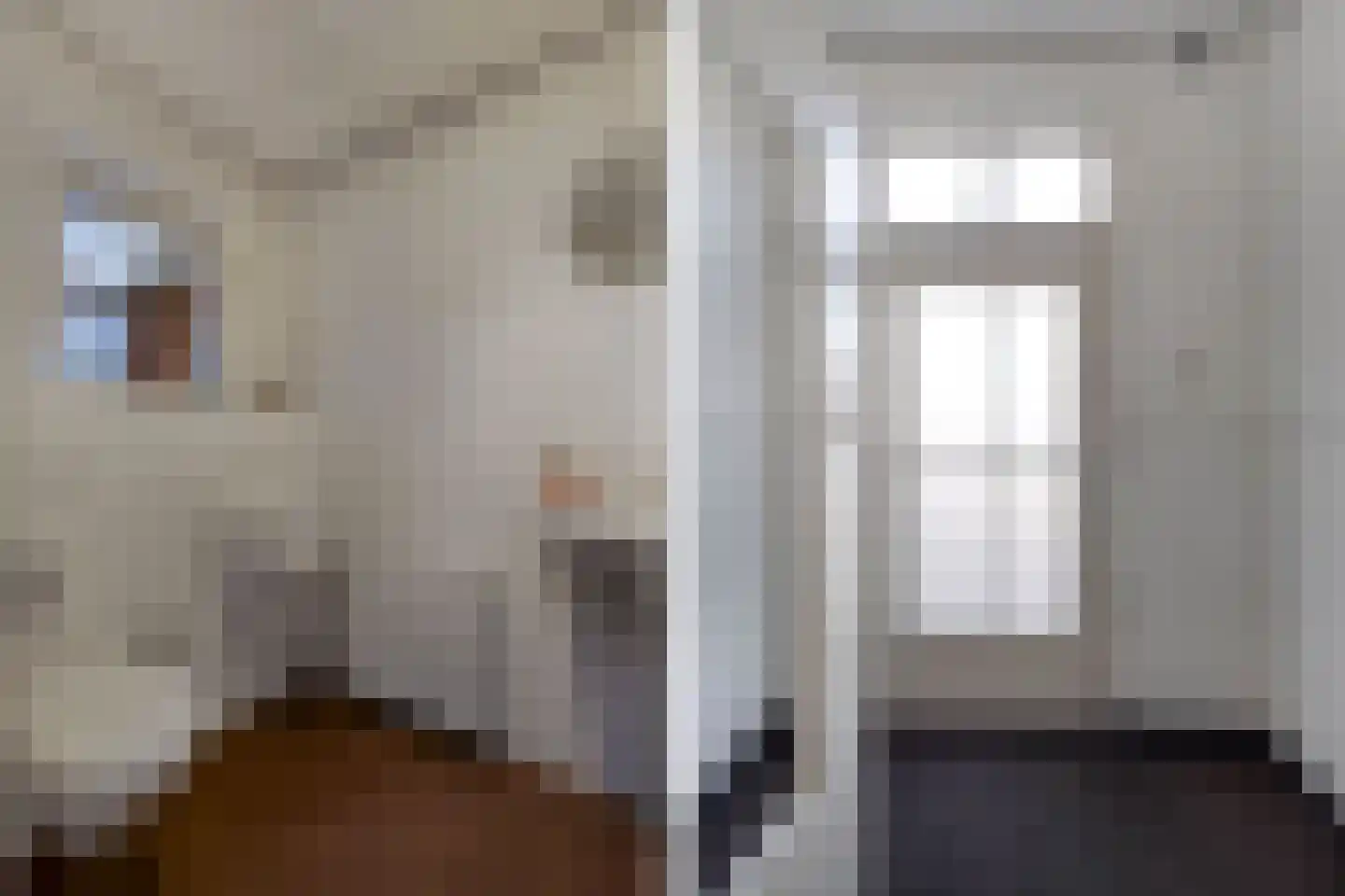 Meppelerweg 56 Steenwijk thumbnail 35