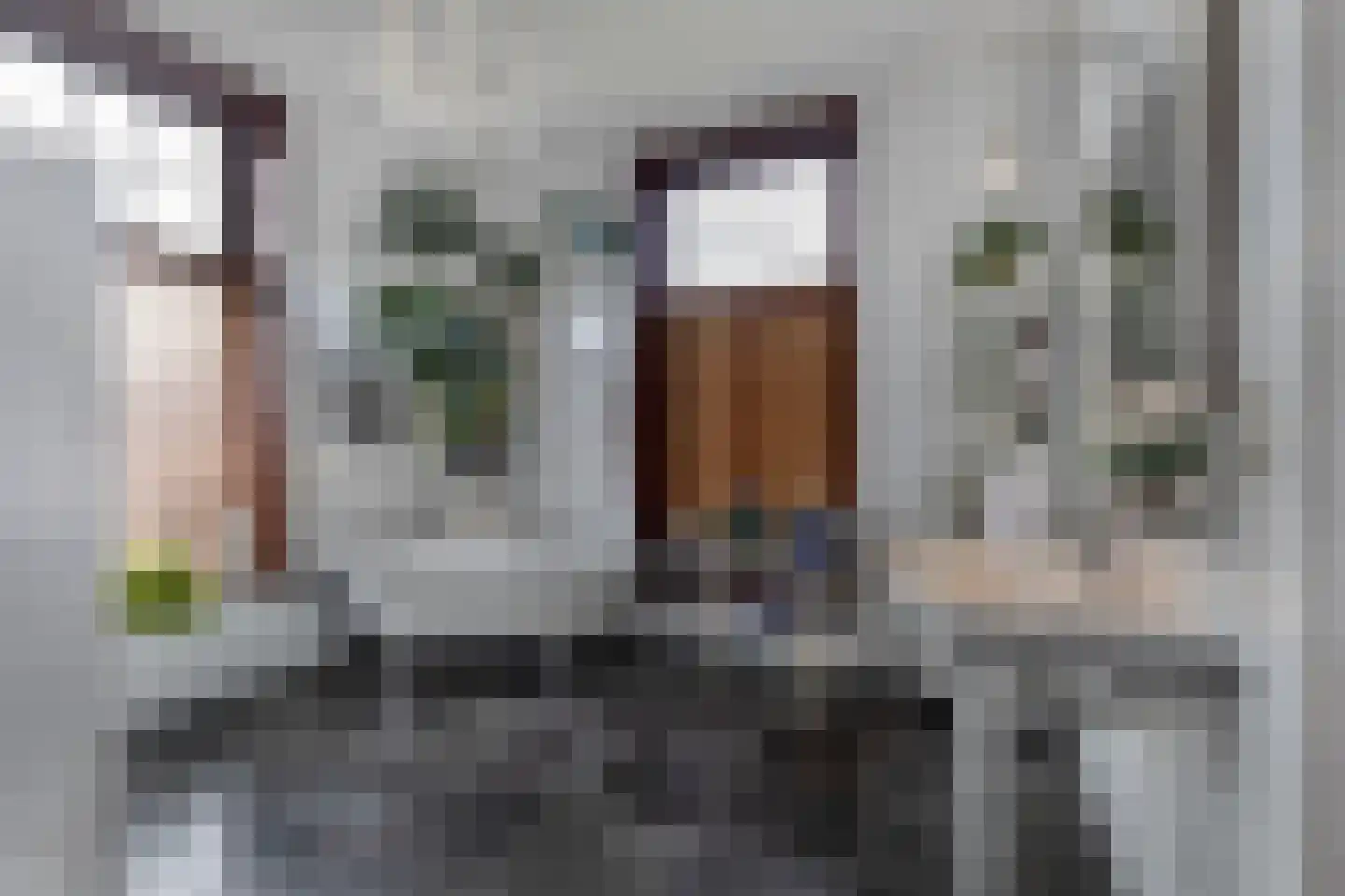Meppelerweg 56 Steenwijk thumbnail 41