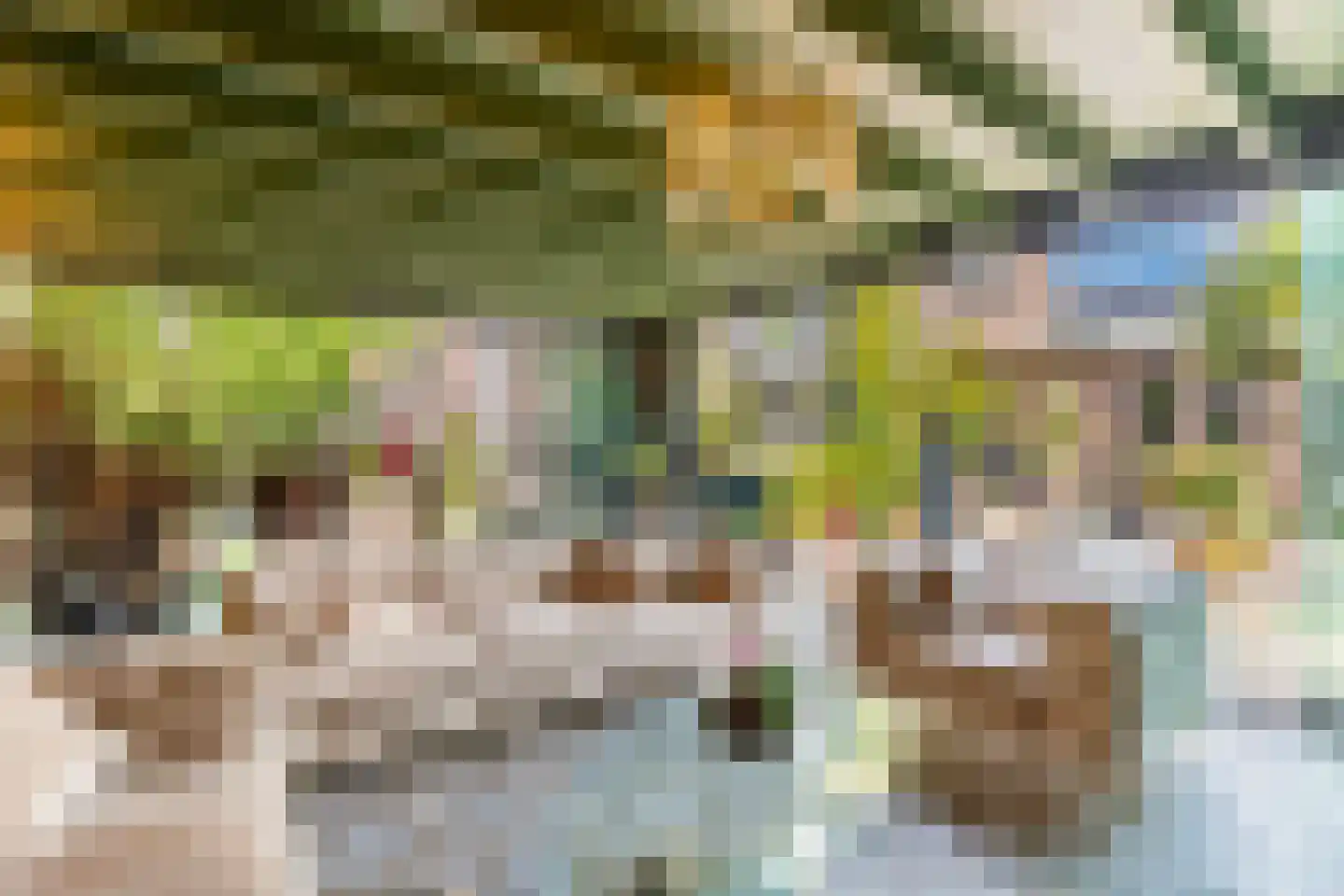 Meppelerweg 56 Steenwijk thumbnail 46