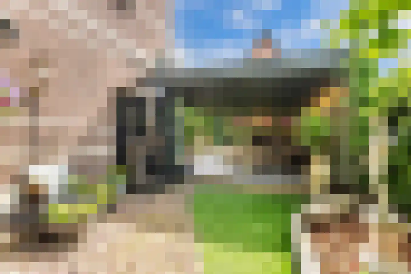 Meppelerweg 56 Steenwijk thumbnail 47