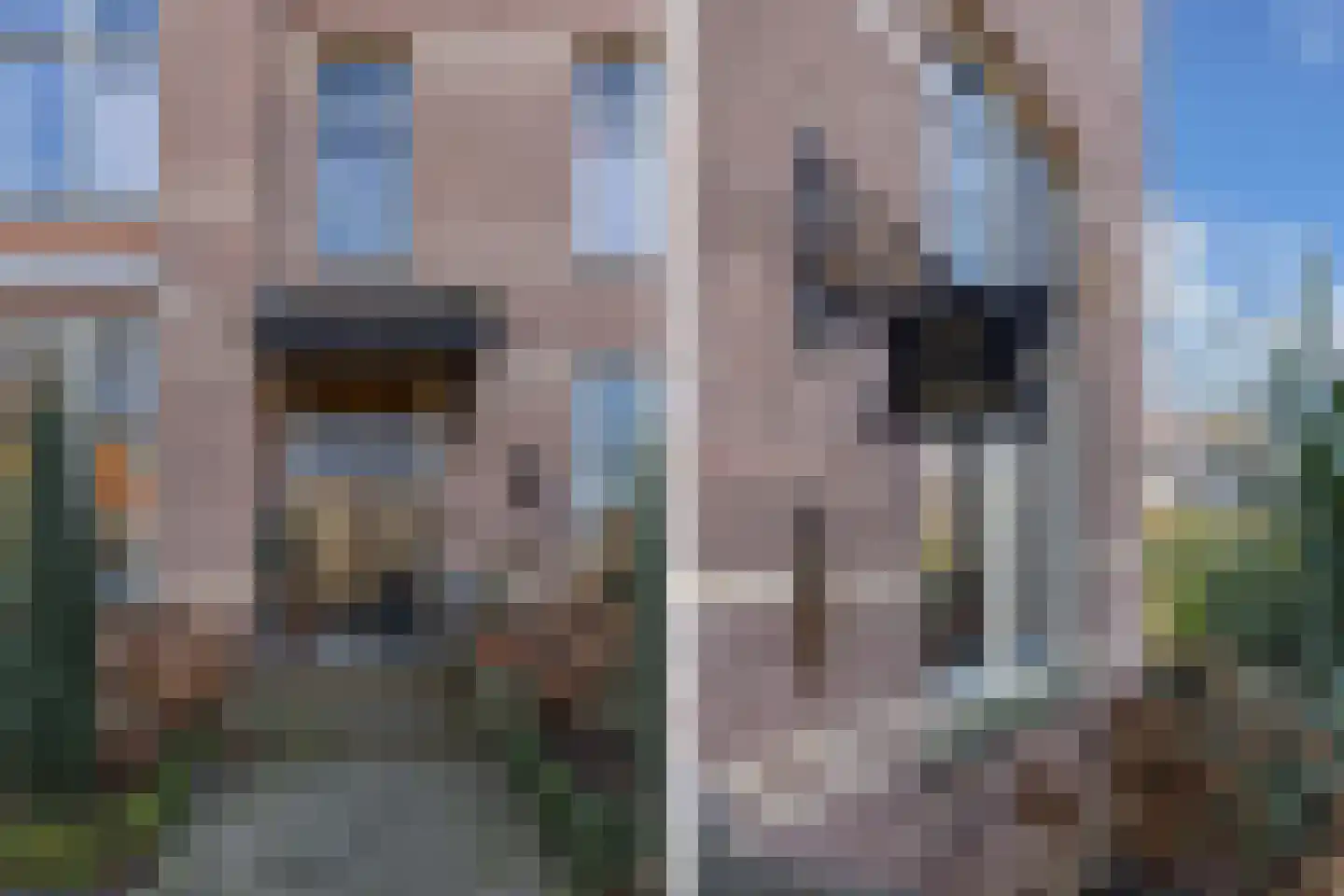 Meppelerweg 56 Steenwijk thumbnail 5