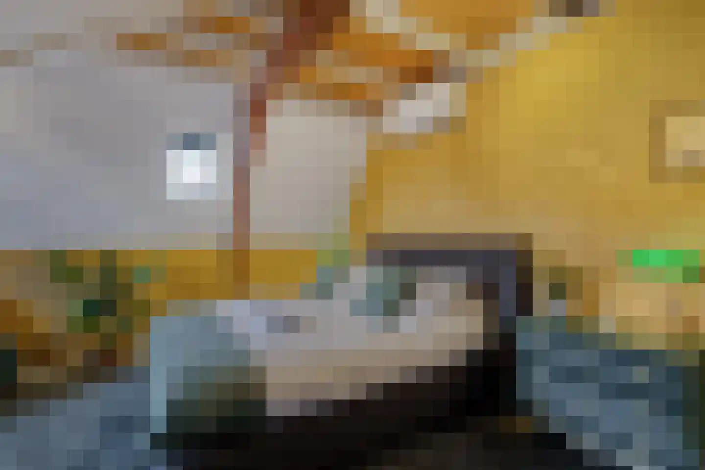 Meppelerweg 56 Steenwijk thumbnail 54
