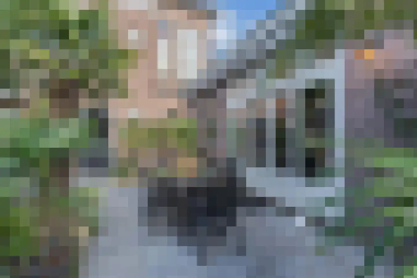 Meppelerweg 56 Steenwijk thumbnail 59