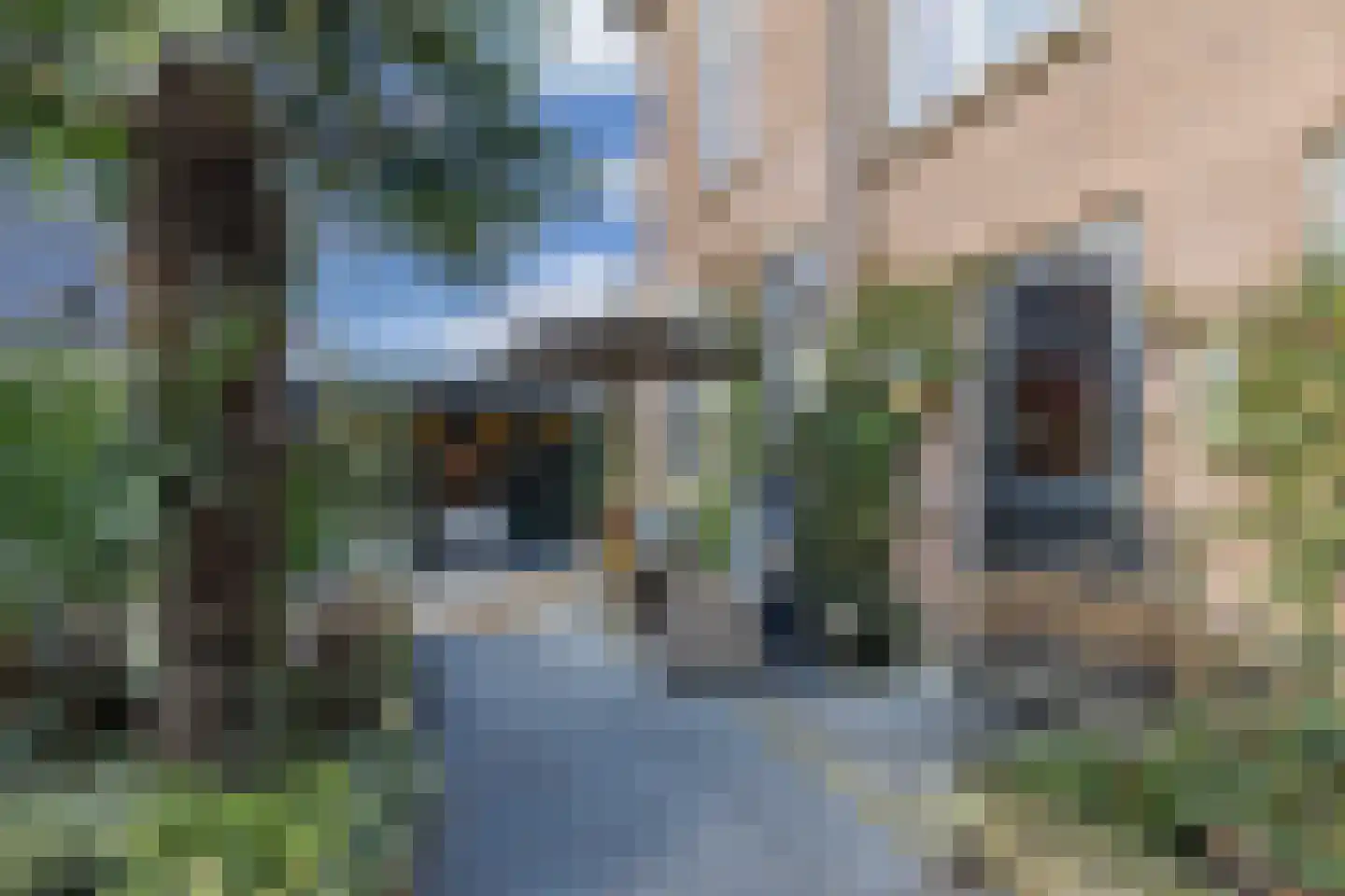 Meppelerweg 56 Steenwijk thumbnail 60