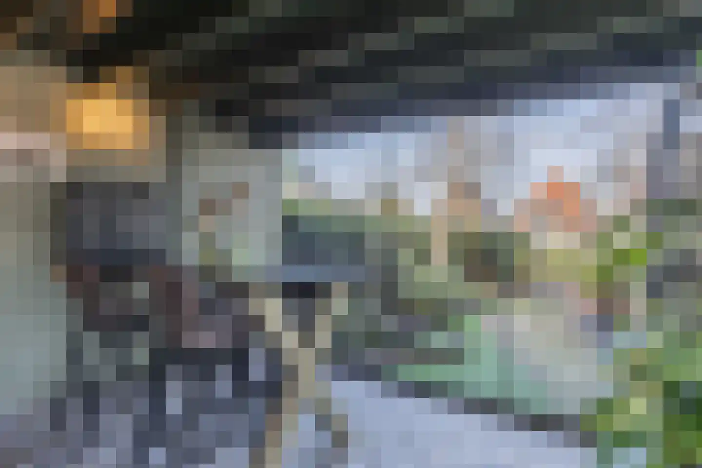 Meppelerweg 56 Steenwijk thumbnail 63