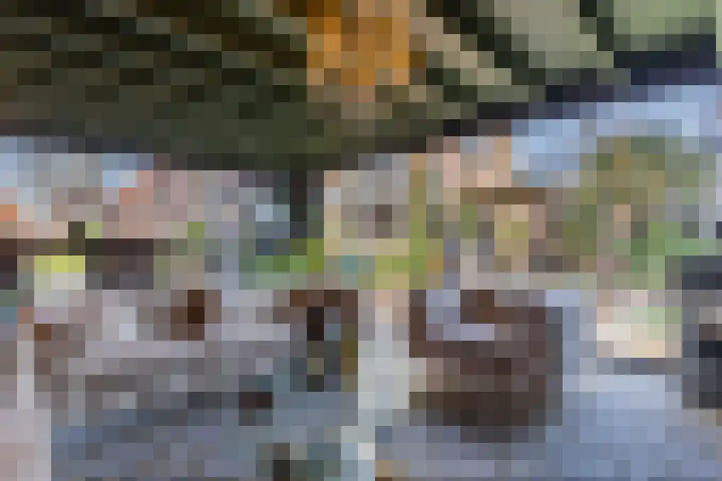 Meppelerweg 56 Steenwijk thumbnail 65