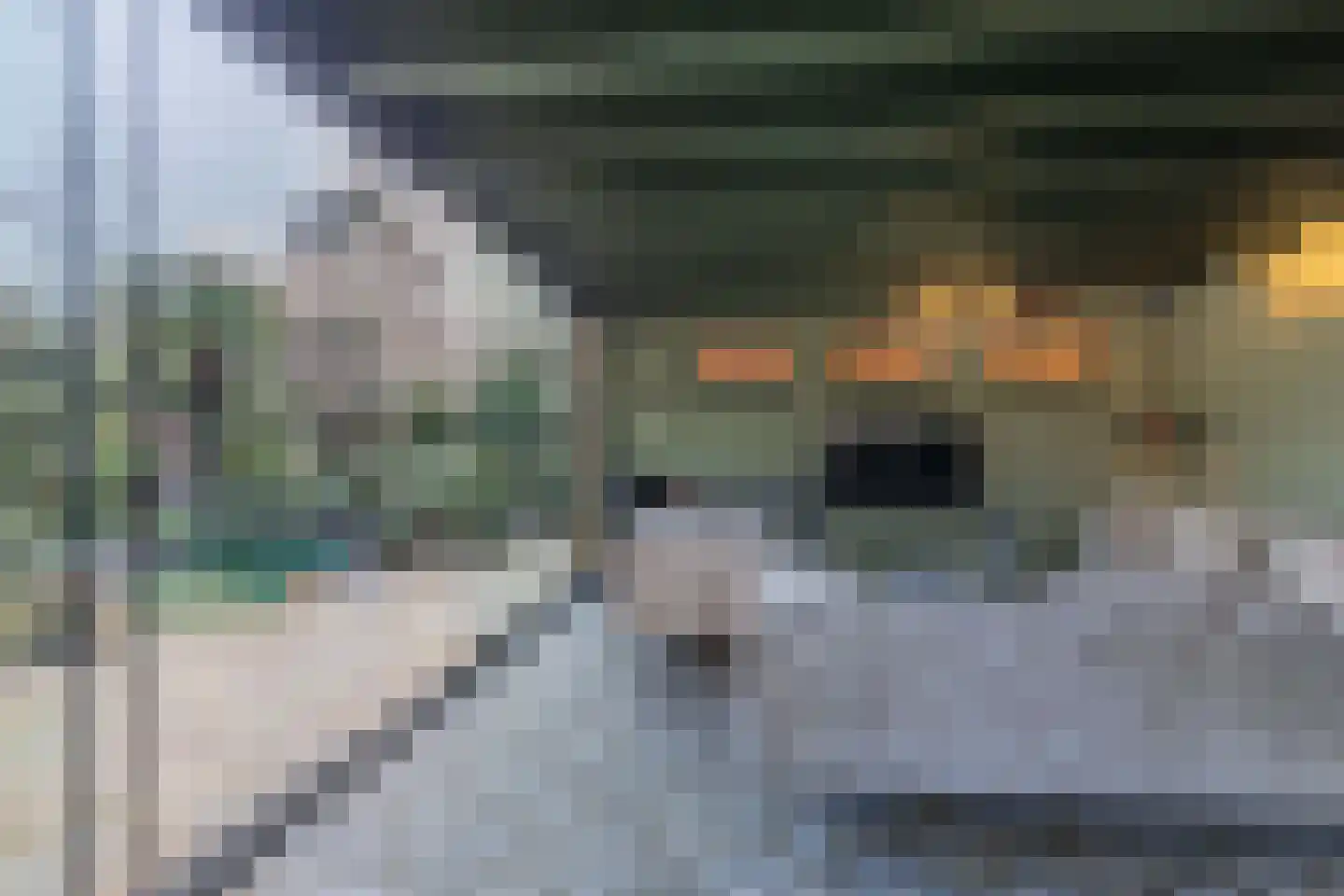 Meppelerweg 56 Steenwijk thumbnail 66
