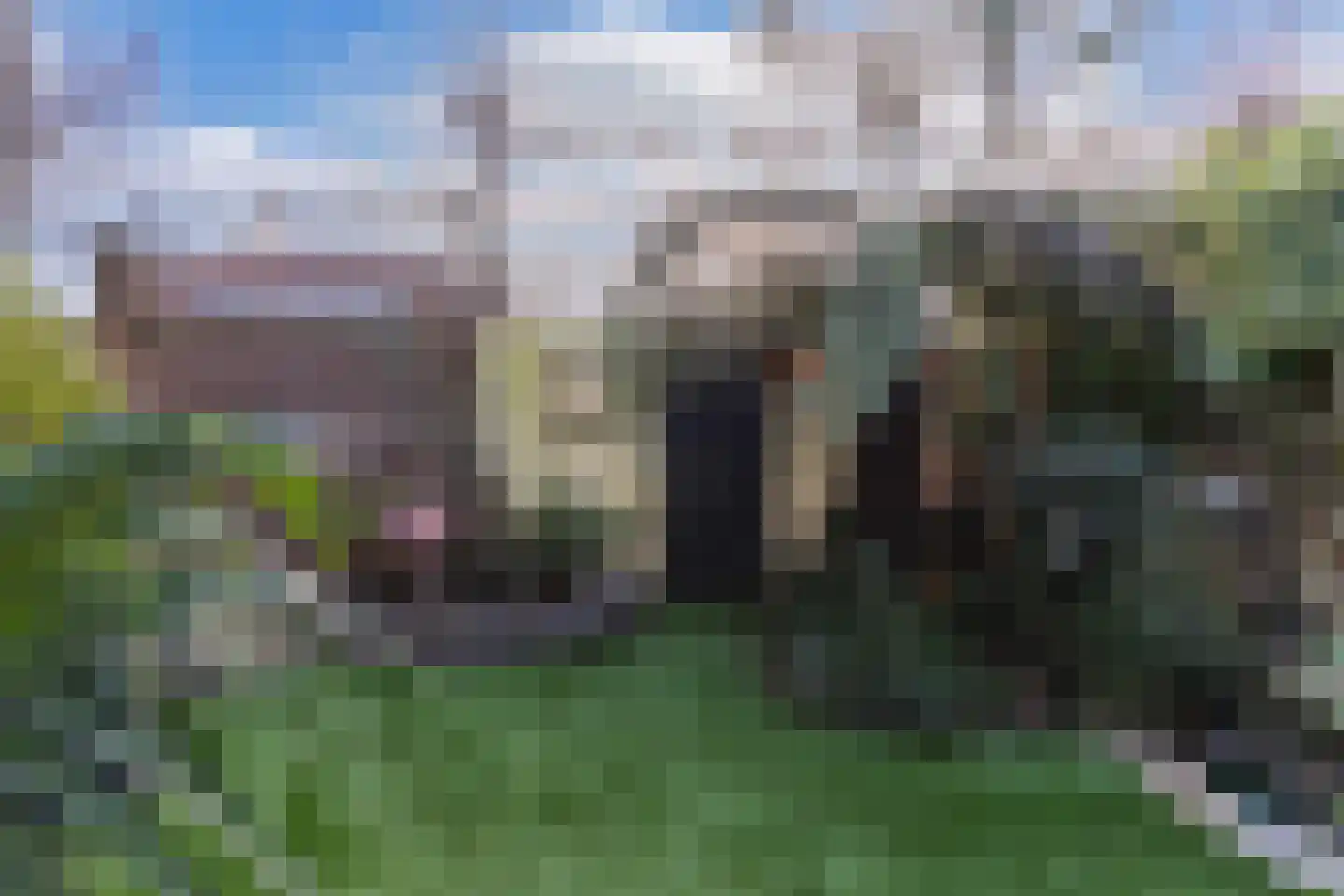 Meppelerweg 56 Steenwijk thumbnail 70