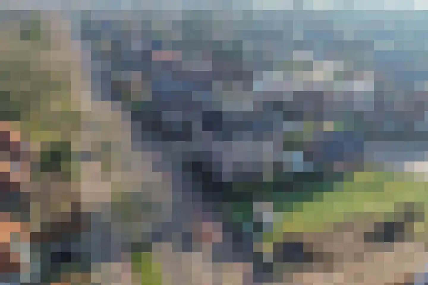 Meppelerweg 56 Steenwijk thumbnail 76