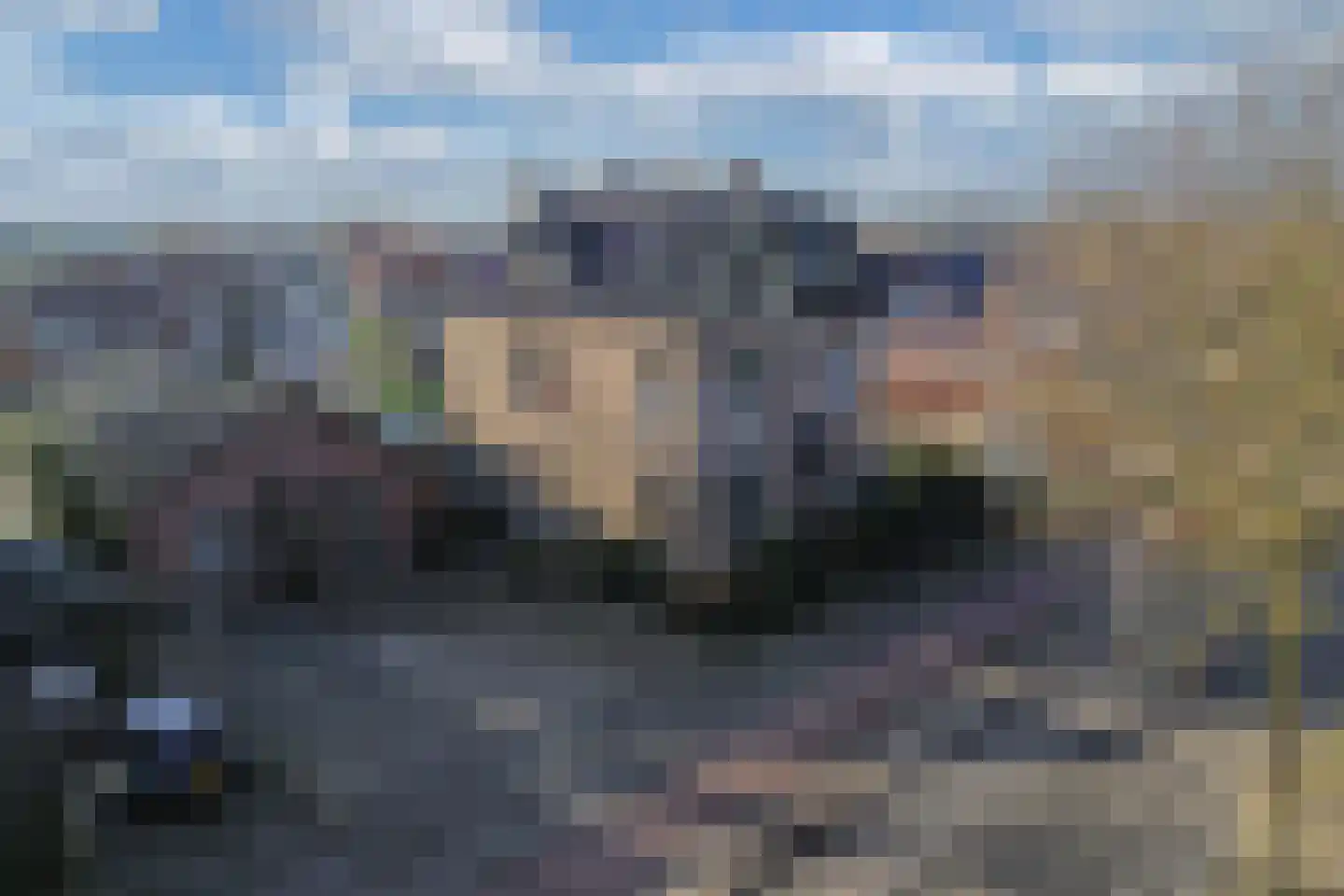 Meppelerweg 56 Steenwijk thumbnail 78