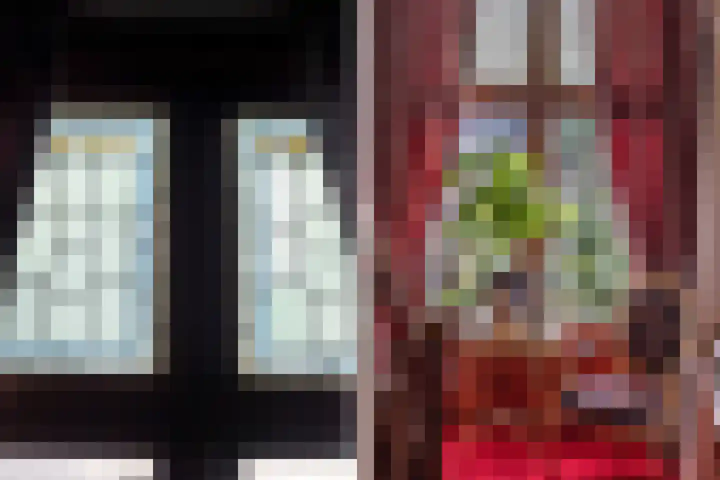 Meppelerweg 56 Steenwijk thumbnail 8