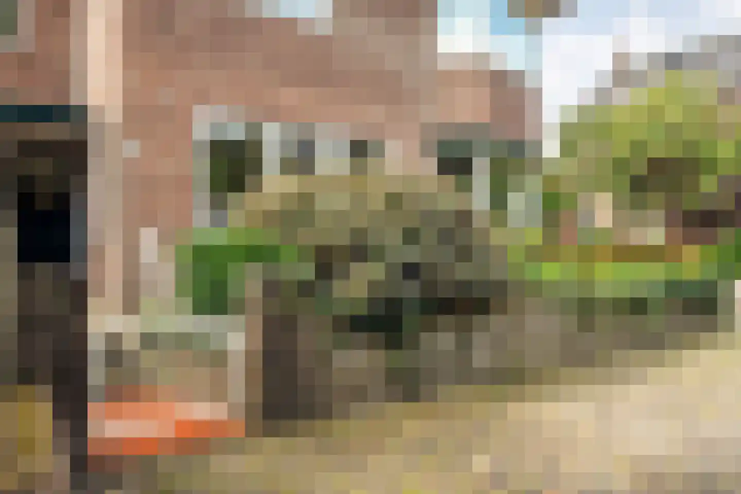 Meppelerweg 58 Steenwijk thumbnail 10